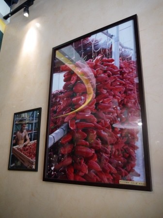 1372258766-4269166979-e1438824788883 西屯-AVPN認證K2小蝸牛 相信真的有人在乎義大利麵