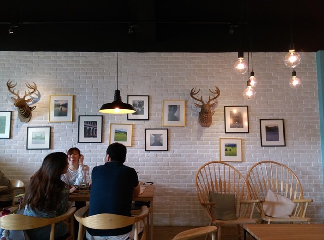 25 芎林-綠色小徑 賞桐花順便來喝個茶吧