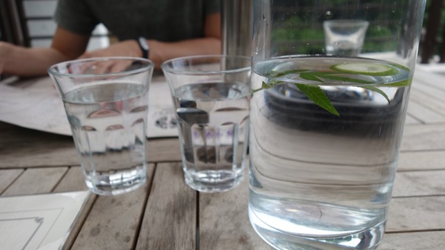 30 芎林-綠色小徑 賞桐花順便來喝個茶吧