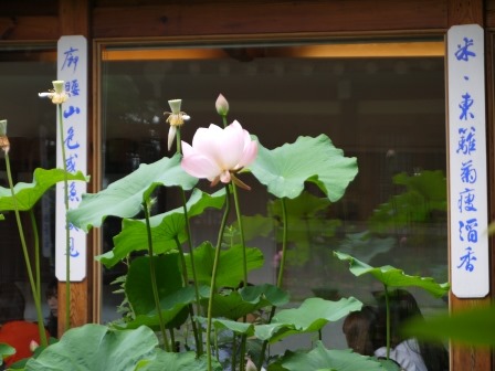 clip_image029 Seoul-北村八景 來首爾看韓屋