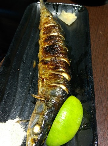 colordon10 中壢-築地鮮魚 Sogo旁 夠意思的三色丼