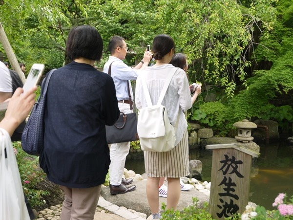 flowertemple07 Kamakura-鎌倉長谷寺 紫陽花季人山人海啊