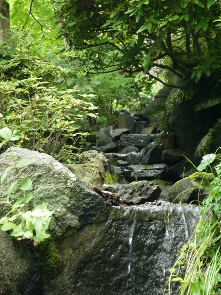 flowertemple12 Kamakura-鎌倉長谷寺 紫陽花季人山人海啊