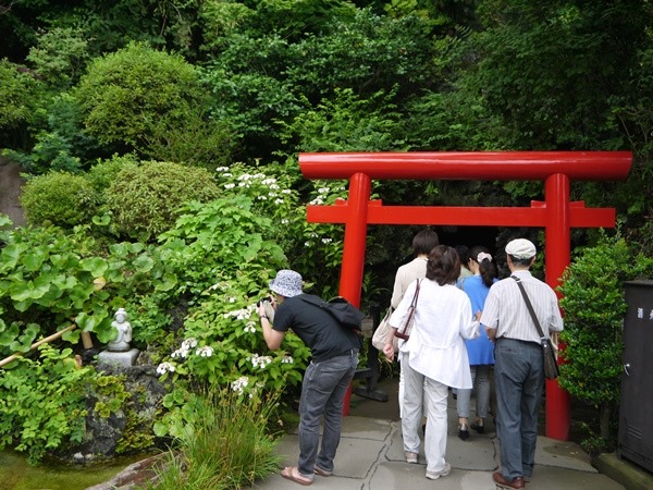flowertemple13 Kamakura-鎌倉長谷寺 紫陽花季人山人海啊