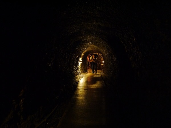 flowertemple16 Kamakura-鎌倉長谷寺 紫陽花季人山人海啊