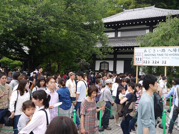 flowertemple23 Kamakura-鎌倉長谷寺 紫陽花季人山人海啊