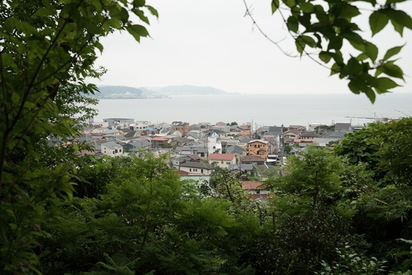 flowertemple47 Kamakura-鎌倉長谷寺 紫陽花季人山人海啊