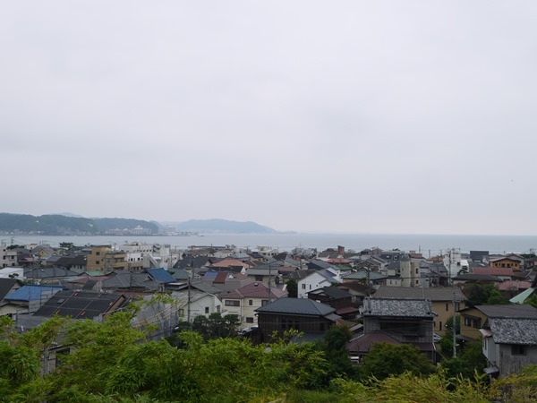 flowertemple49 Kamakura-鎌倉長谷寺 紫陽花季人山人海啊