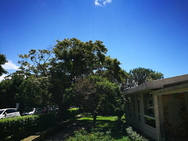 yanic05 士林-陽明山美軍宿舍群 亞尼克夢想村 這一整個在美國吧