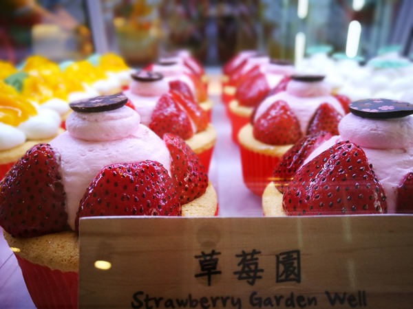 yanic09 士林-陽明山美軍宿舍群 亞尼克夢想村 這一整個在美國吧