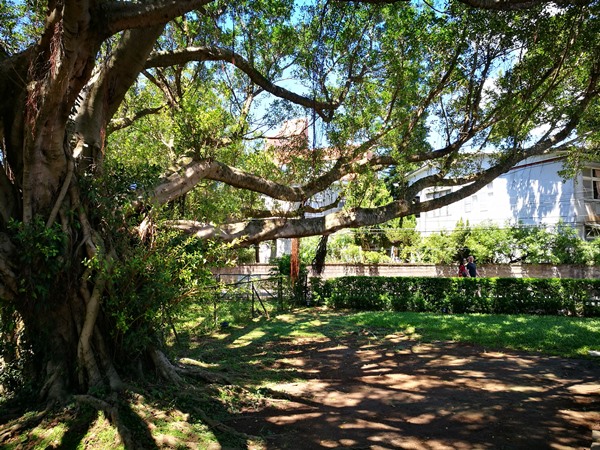 yanic18 士林-陽明山美軍宿舍群 亞尼克夢想村 這一整個在美國吧