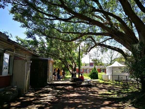 yanic21 士林-陽明山美軍宿舍群 亞尼克夢想村 這一整個在美國吧