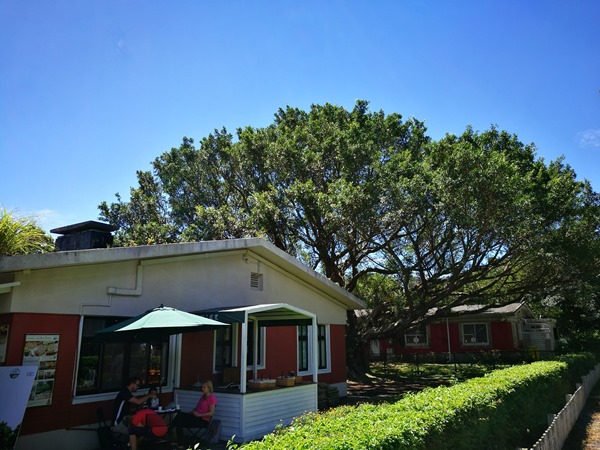 yanic23 士林-陽明山美軍宿舍群 亞尼克夢想村 這一整個在美國吧