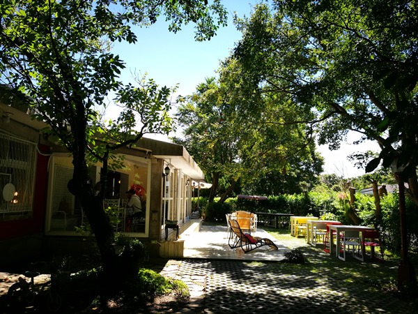 yanic24 士林-陽明山美軍宿舍群 亞尼克夢想村 這一整個在美國吧