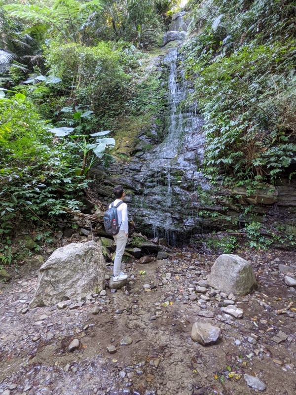 關西-馬武督探索森林(綠光森林) 風和日麗輕鬆走步道