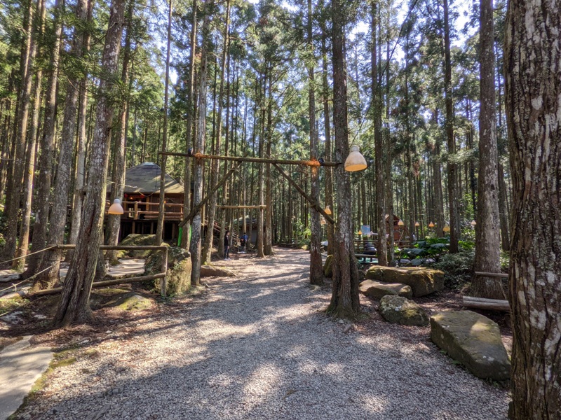 guanxi03 關西-馬武督探索森林(綠光森林) 風和日麗輕鬆走步道