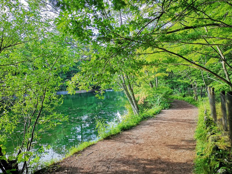karuizawa08 Karuizawa-輕井澤輕鬆鐵馬行/聖保羅教堂/雲場池