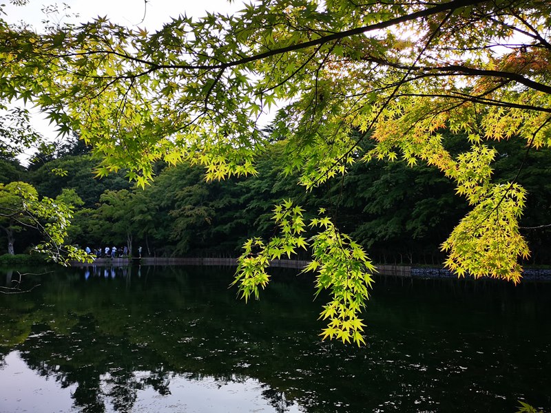 karuizawa09 Karuizawa-輕井澤輕鬆鐵馬行/聖保羅教堂/雲場池