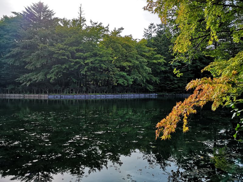 karuizawa10 Karuizawa-輕井澤輕鬆鐵馬行/聖保羅教堂/雲場池