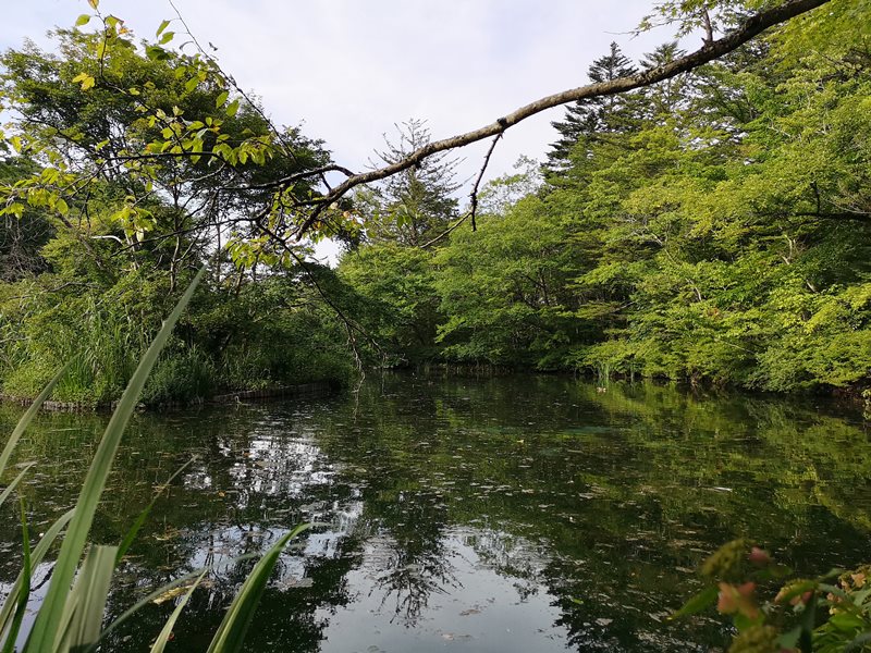 karuizawa11 Karuizawa-輕井澤輕鬆鐵馬行/聖保羅教堂/雲場池