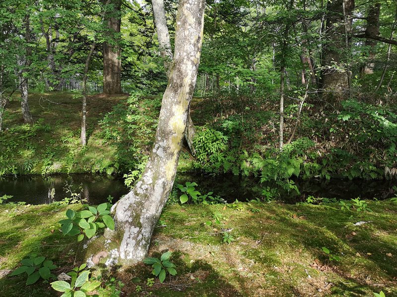 karuizawa13 Karuizawa-輕井澤輕鬆鐵馬行/聖保羅教堂/雲場池