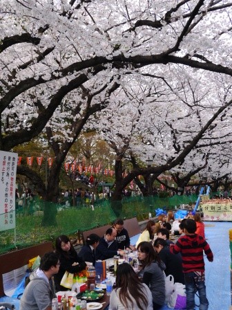 Ueno-沉醉在上野公園 滿開的櫻花繽紛 無法計畫的祭典(2013お花見之三)