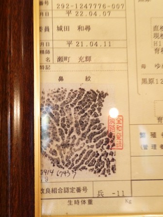 1379605269-1489760284-e1439051652665 Kobe-神戶牛排ビフテキのカワムラBifteck Kawamura軟嫩神戶牛Q彈大鮑魚