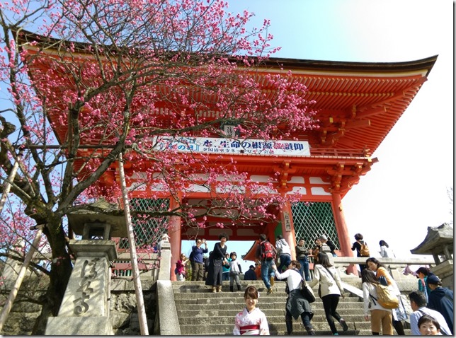 11_thumb7 Kyoto-清水坂 好吃好逛