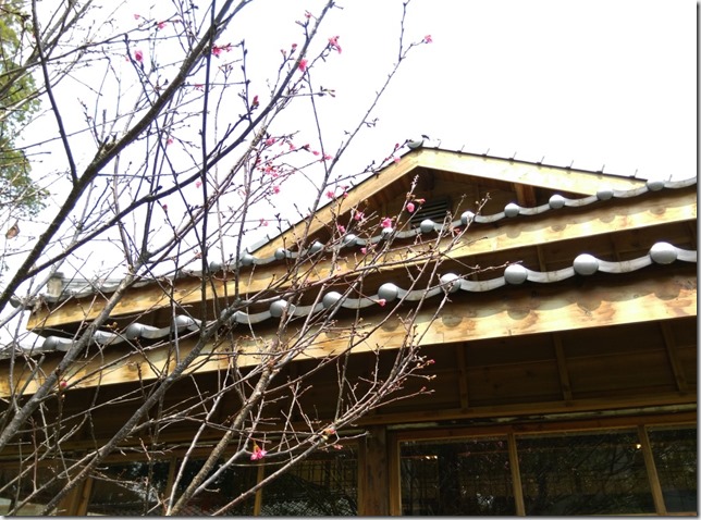 15_thumb4 台中-小書房 武道館旁鬧中取靜的飲茶空間