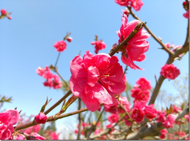 05_thumb10 Beijing-圓明園 英法聯軍毀的差不多了 但還是被列入世界文化遺產