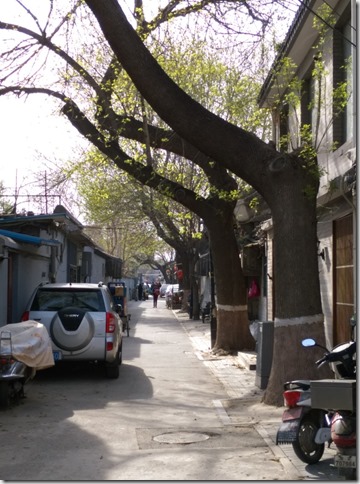 07_thumb5 Beijing-北京胡同的小天地 南鑼鼓巷
