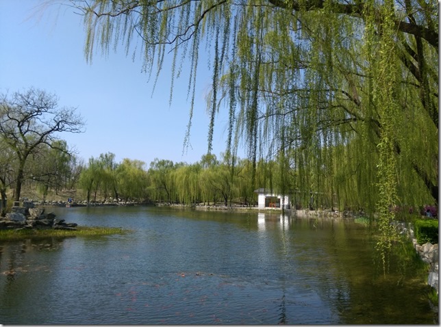 08_thumb11 Beijing-圓明園 英法聯軍毀的差不多了 但還是被列入世界文化遺產