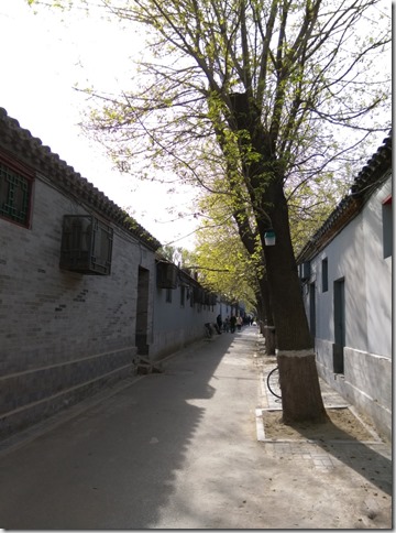 08_thumb6 Beijing-北京胡同的小天地 南鑼鼓巷