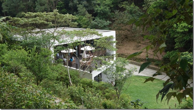 10_thumb4 芎林-綠色小徑 賞桐花順便來喝個茶吧