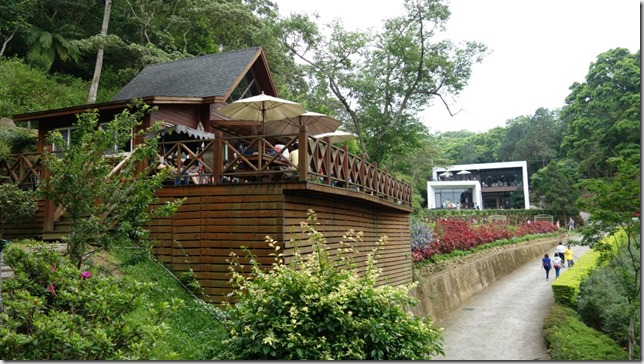 11_thumb3 芎林-綠色小徑 賞桐花順便來喝個茶吧