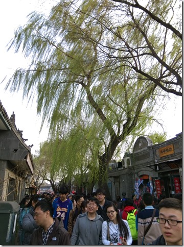 12_thumb4 Beijing-北京胡同的小天地 南鑼鼓巷