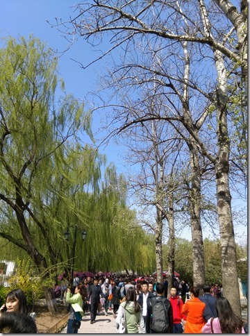 12_thumb8 Beijing-圓明園 英法聯軍毀的差不多了 但還是被列入世界文化遺產