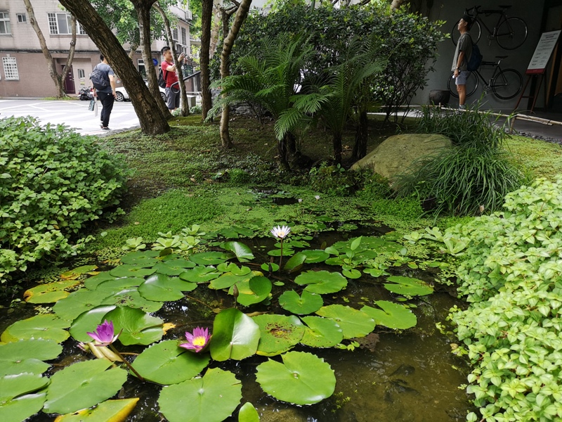 sunnyhilltw13 松山-微熱山丘 喝茶 會朋友 吃鳳梨酥 把鳳梨酥當精品