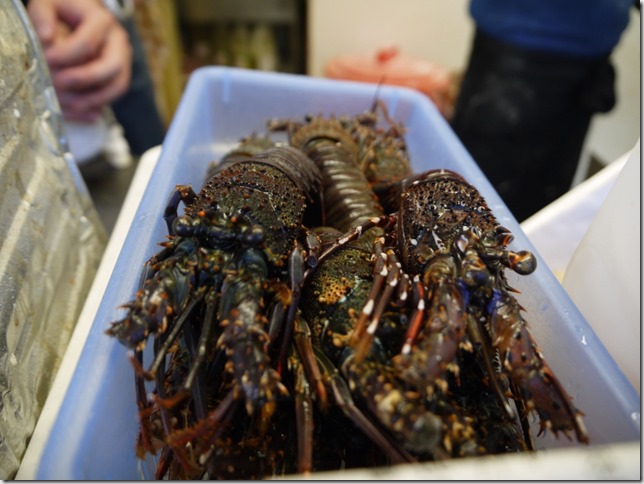 06_thumb5 Enoshima-江之島必吃 整隻伊勢龍蝦 比頭還大的現做仙貝(丸燒章魚仙貝)
