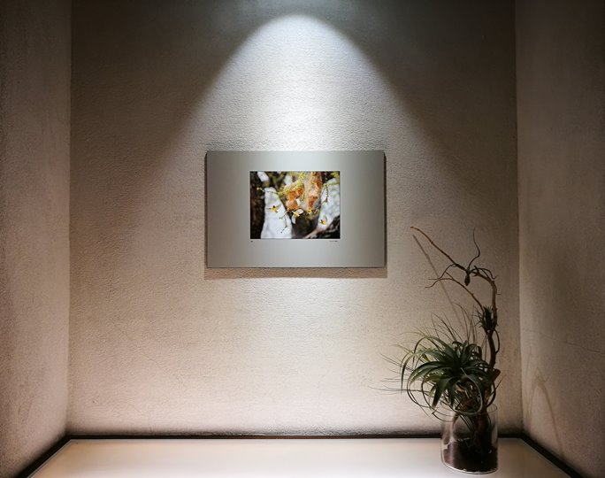 springwater06 竹北-春水堂 珍珠奶茶茶味濃配功夫麵