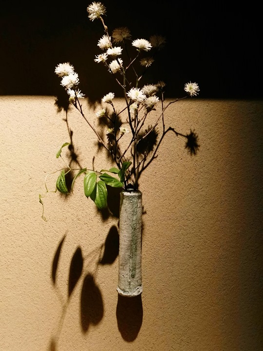 ginzanomae010117 Ginza-銀座Tokyu Plaza下鴨茶寮のまえ(的前面) 京都下鴨茶寮的簡化版 精緻好吃