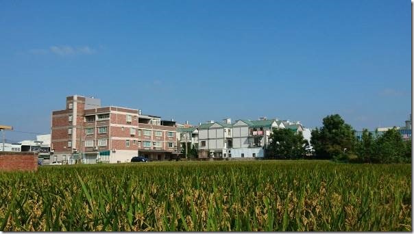 55555_thumb 頭份-越來越好吃 平價越南小吃