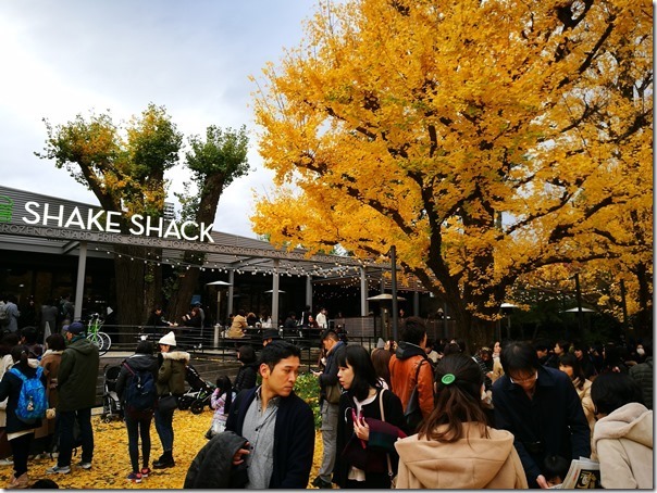 IMG_20161123_115028_thumb Aoyama-天馬咖哩 日式咖哩濃淡適中搭米飯超好吃