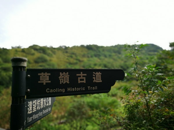 貢寮-草嶺古道 賞芒花