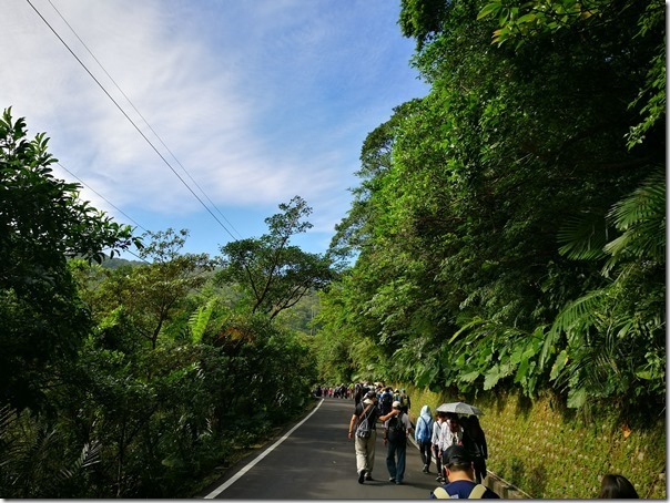 caoling03_thumb 貢寮-草嶺古道 賞芒花