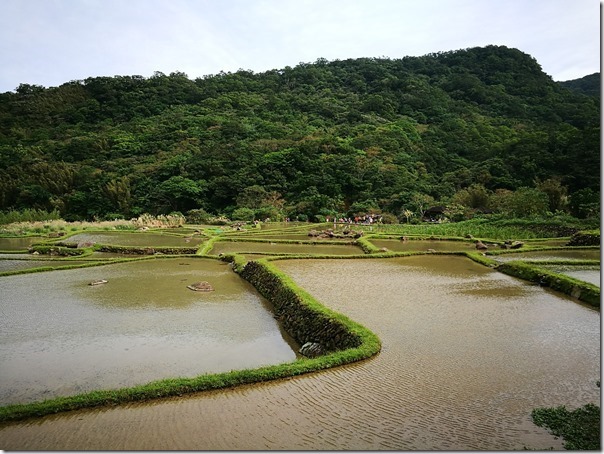 caoling05_thumb 貢寮-草嶺古道 賞芒花