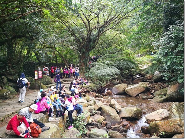 caoling09_thumb 貢寮-草嶺古道 賞芒花