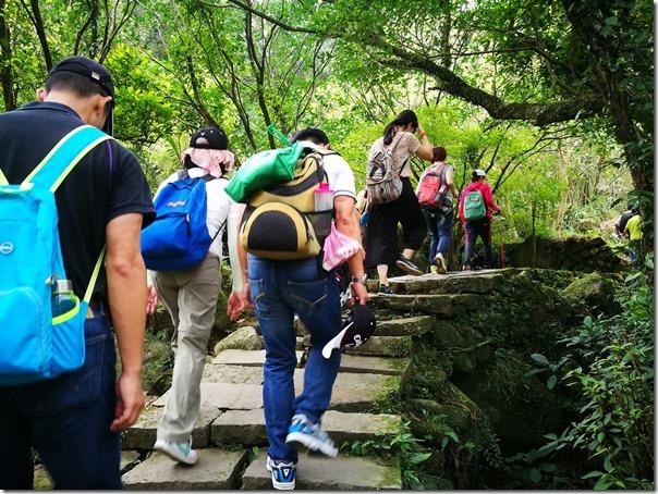 caoling12_thumb 貢寮-草嶺古道 賞芒花