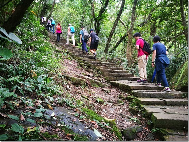 caoling13_thumb 貢寮-草嶺古道 賞芒花