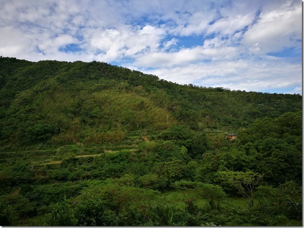 caoling15_thumb 貢寮-草嶺古道 賞芒花